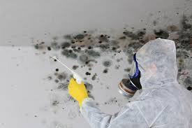 Trusted Cherry Hills Village, CO Mold Removal Experts